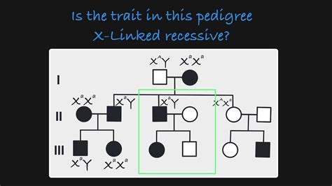 x linked recessive pedigree|x linked recessive pedigree characteristics.